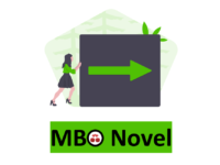 Over MBO Novel